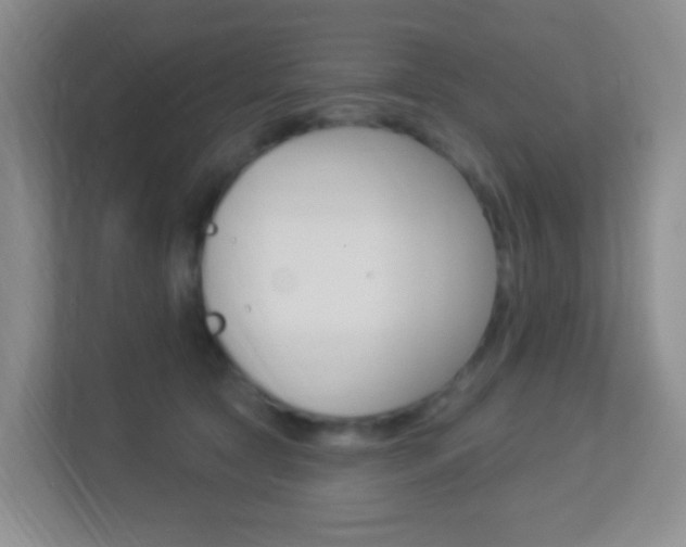 X0000113900561200909241205