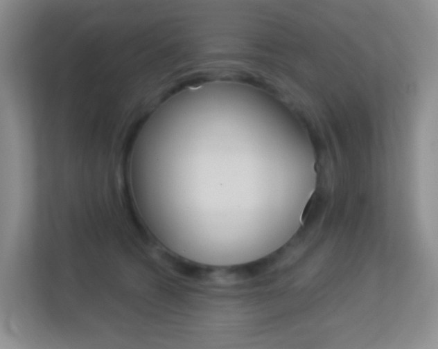 X0000113900562200909241205