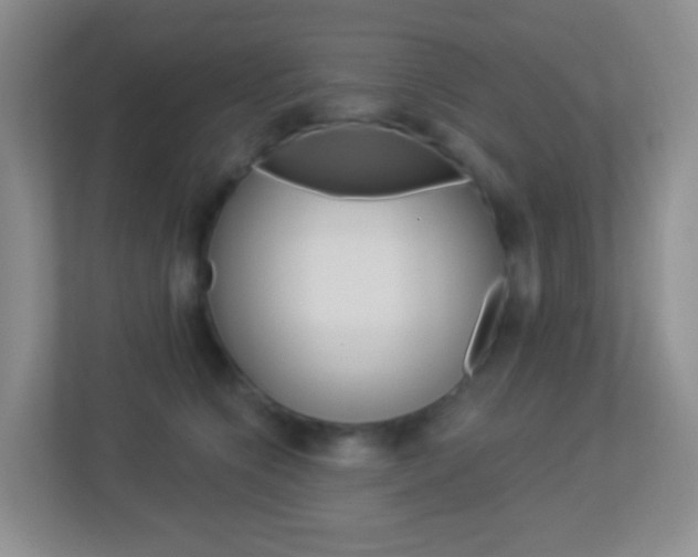 X0000113900564200909241205