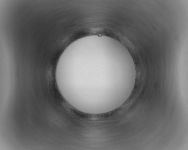 X0000113900565200909241205