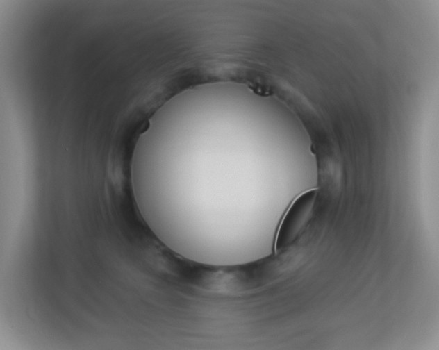 X0000113900566200909241205