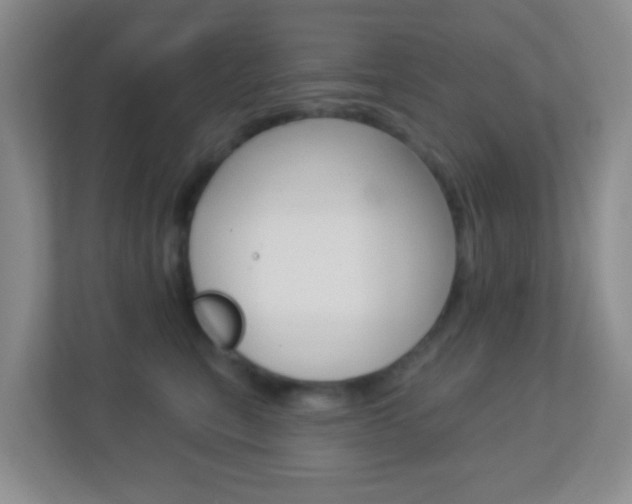 X0000113900567200909241205