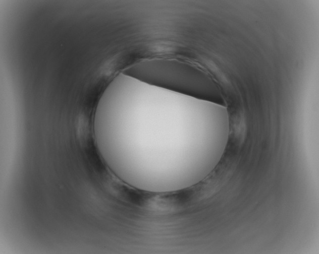 X0000113900568200909241205