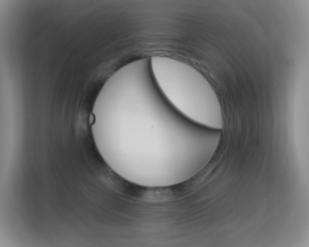 X0000113900571200909241205