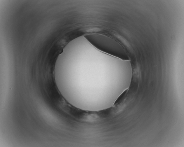 X0000113900572200909241205