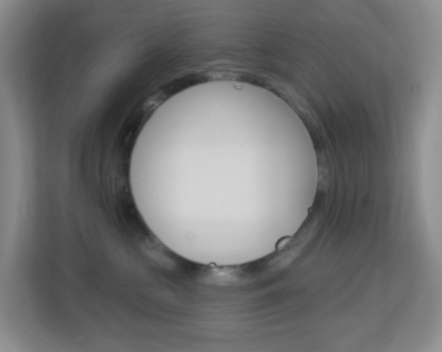 X0000113900573200909241205
