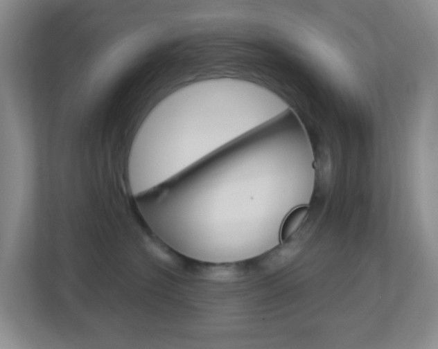 X0000113900574200909241205