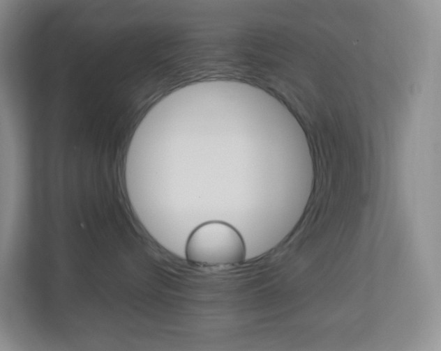 X0000113900576200909241205