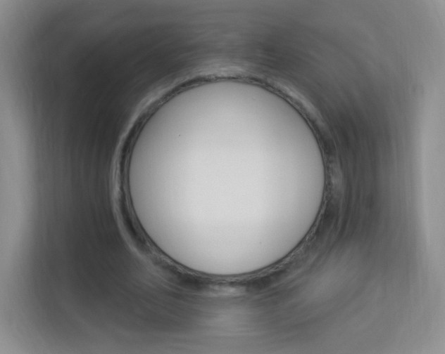 X0000113900582200909241204