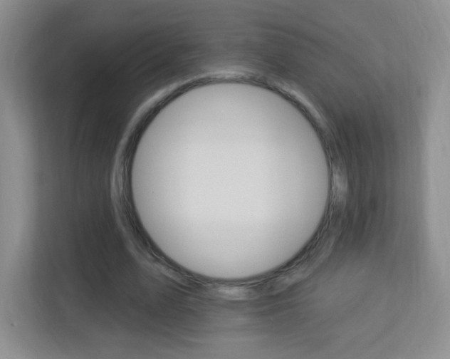 X0000113900583200909241204