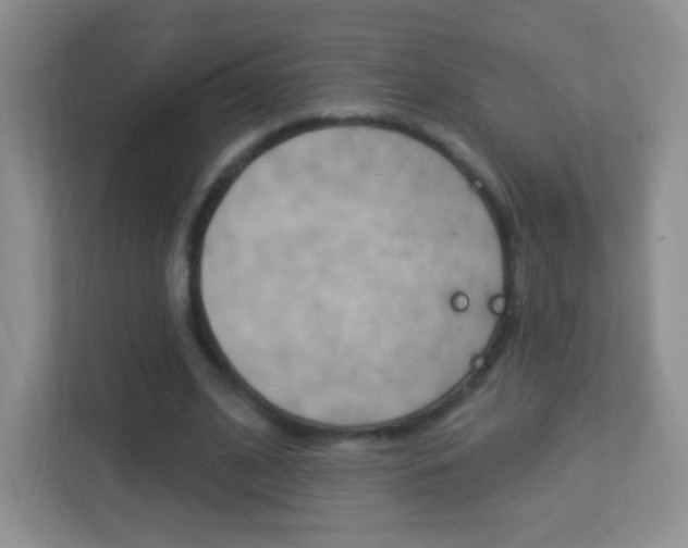 X0000113900584200909241204