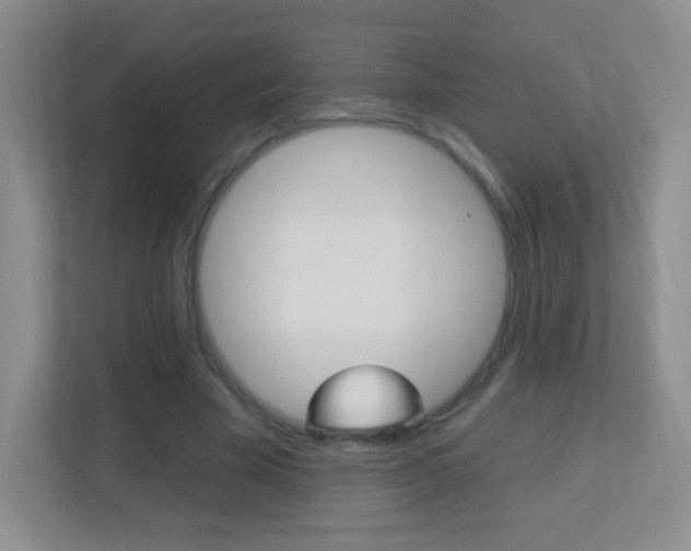 X0000113900585200909241204