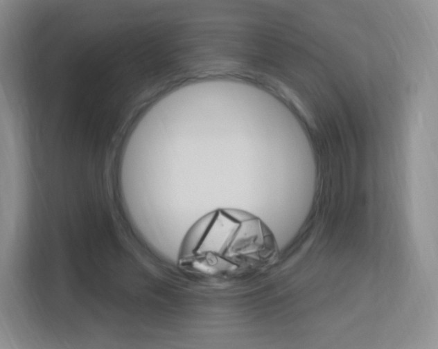 X0000113900589200909241204
