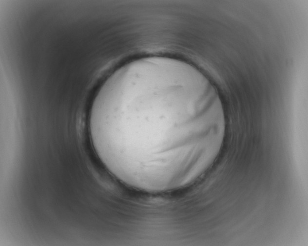 X0000113900592200909241204