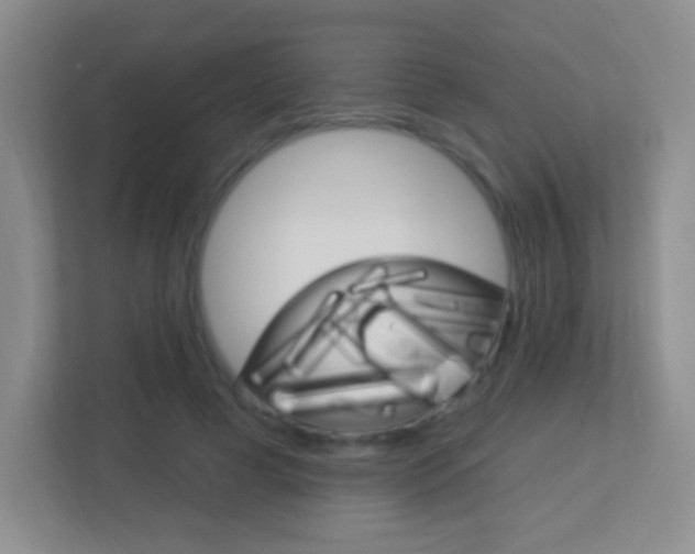 X0000113900593200909241204