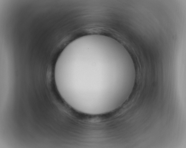 X0000113900600200909241204