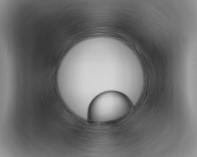 X0000113900601200909241204
