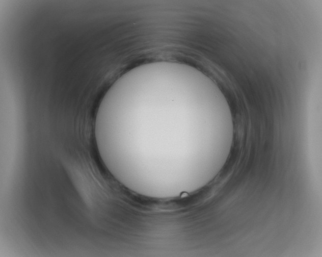 X0000113900603200909241204