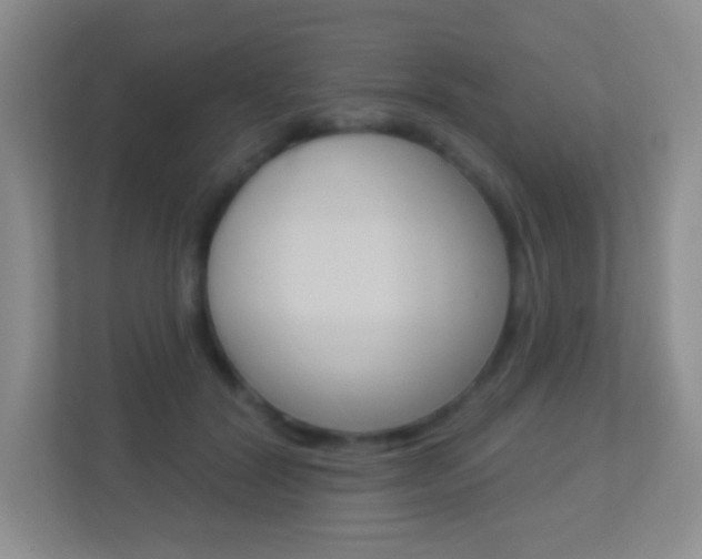 X0000113900604200909241204