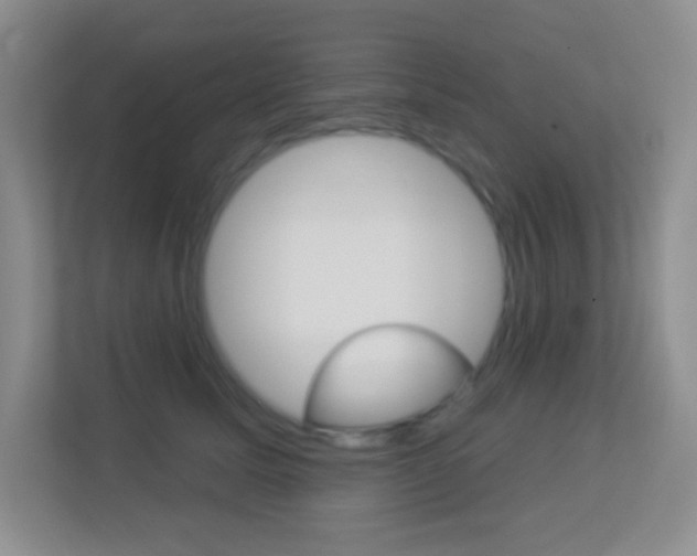 X0000113900611200909241204