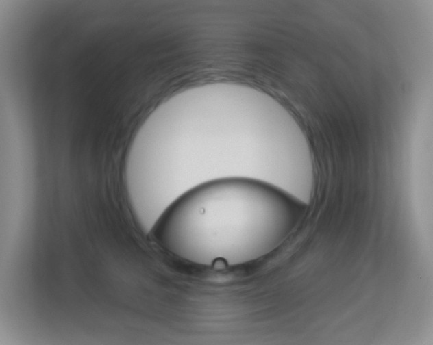 X0000113900613200909241204
