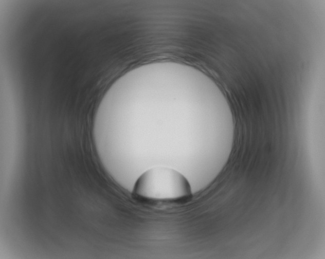 X0000113900617200909241204