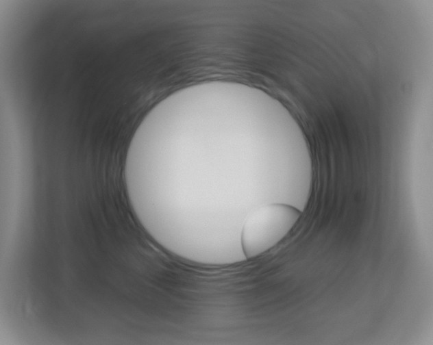 X0000113900621200909241204