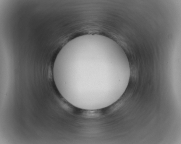 X0000113900622200909241204