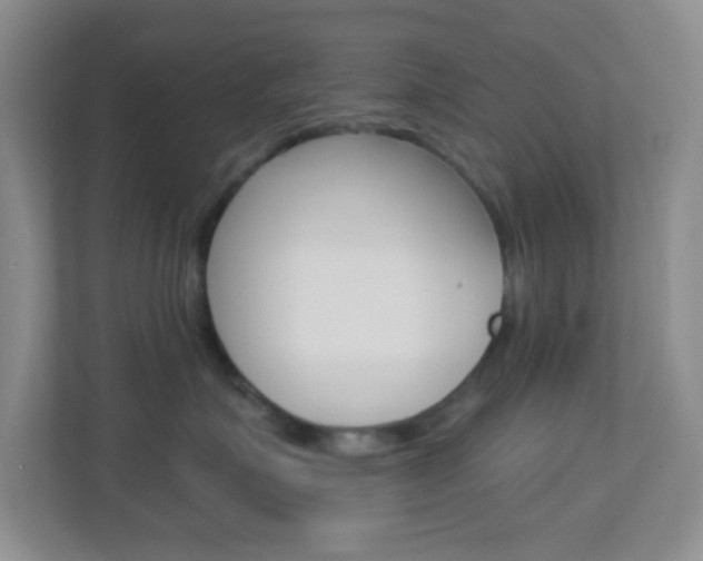 X0000113900623200909241204