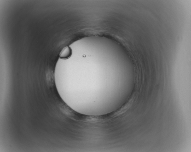X0000113900624200909241204
