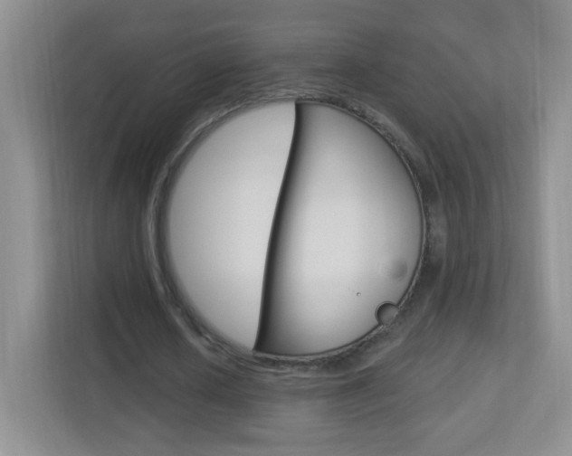 X0000113900626200909241203