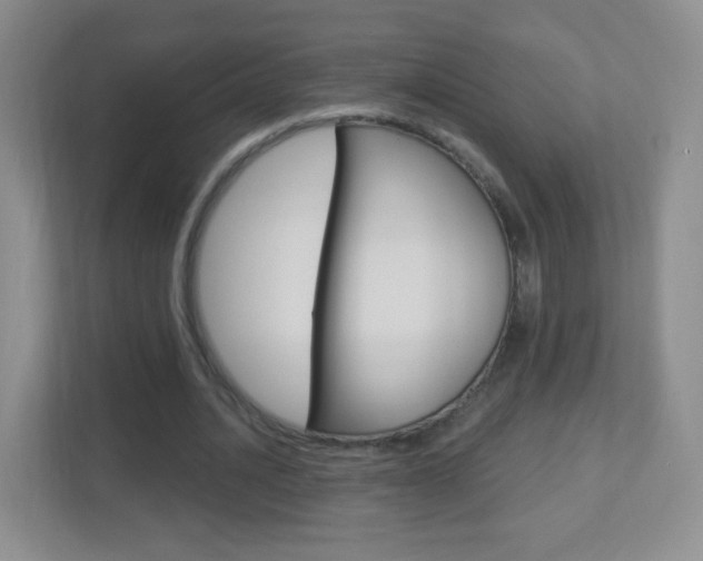 X0000113900628200909241203