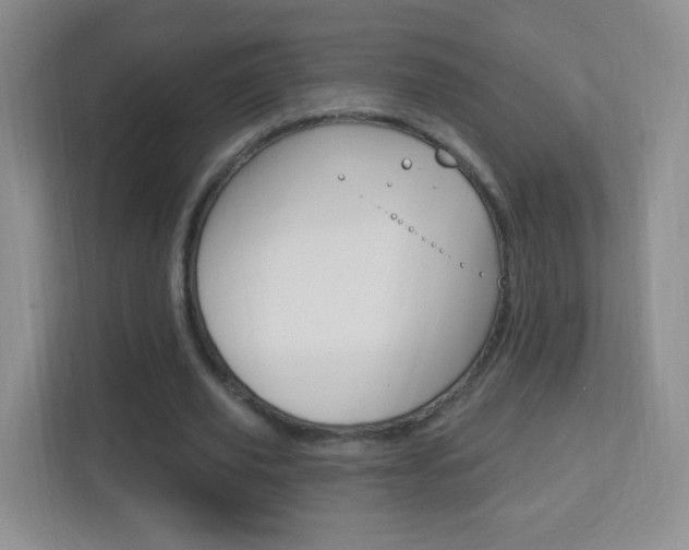 X0000113900629200909241203