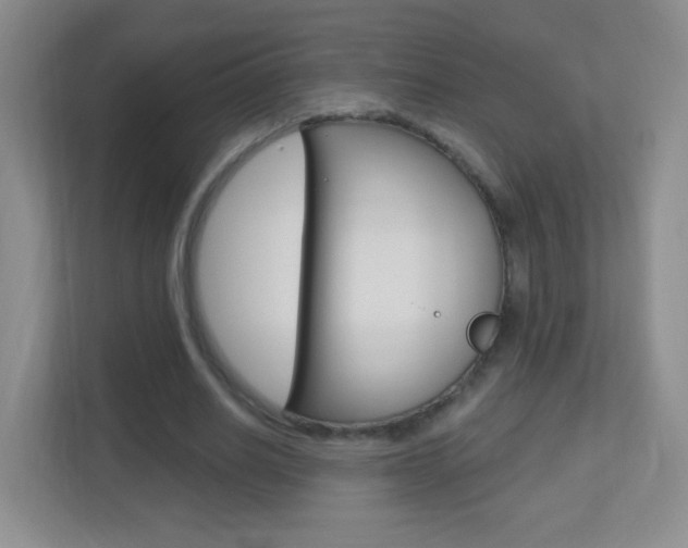 X0000113900630200909241203