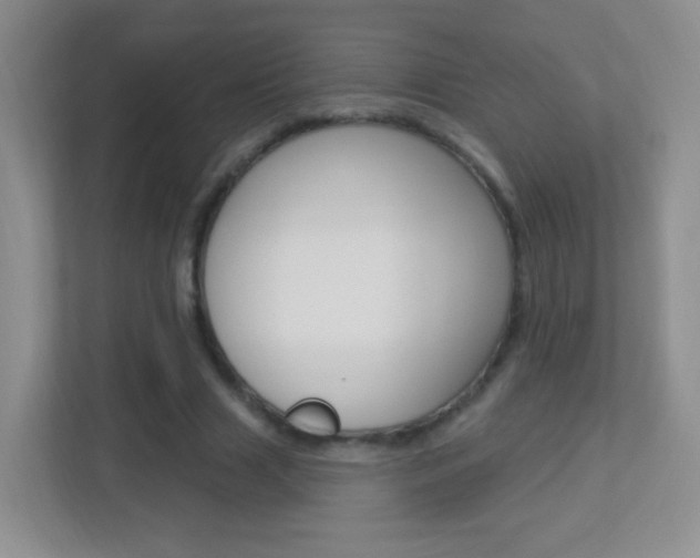 X0000113900633200909241203