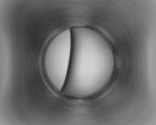 X0000113900634200909241203