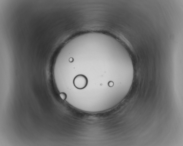 X0000113900635200909241203