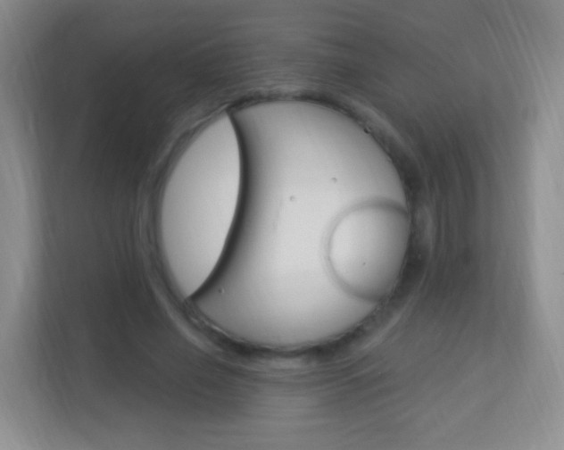 X0000113900638200909241203
