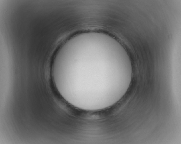 X0000113900640200909241203