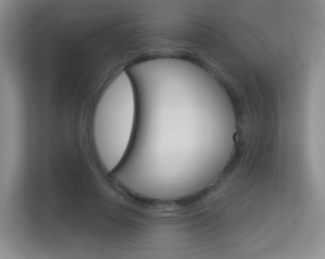 X0000113900642200909241203