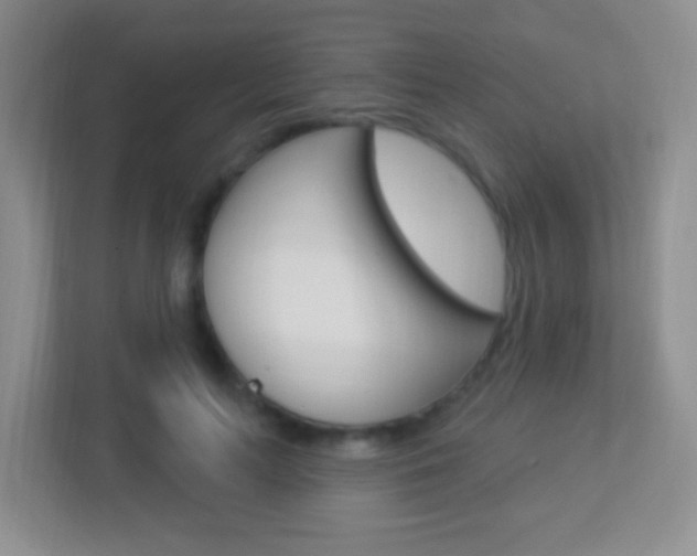 X0000113900647200909241203