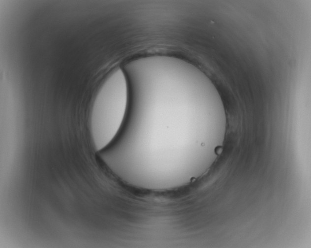 X0000113900648200909241203
