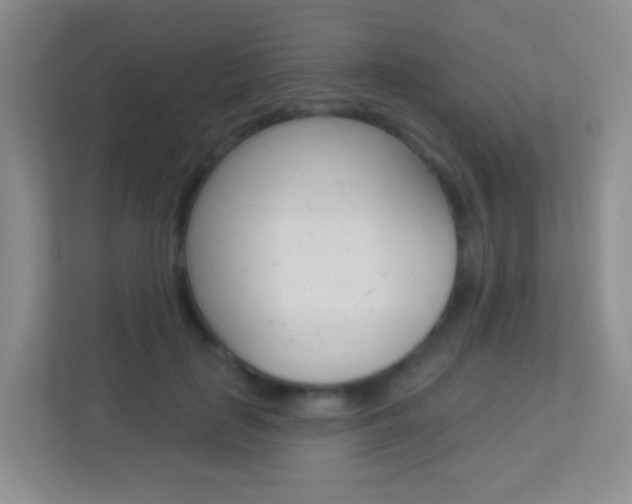 X0000113900651200909241203