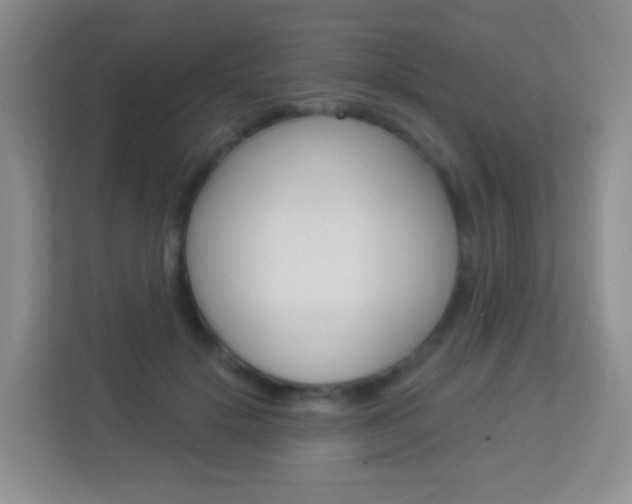 X0000113900652200909241203