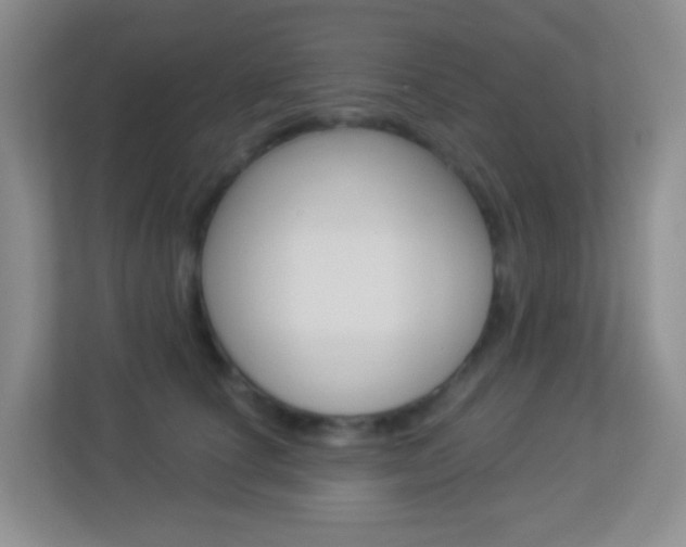X0000113900660200909241204