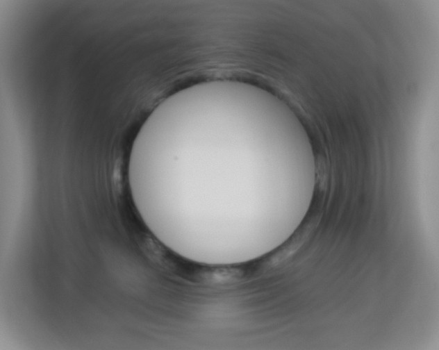 X0000113900670200909241204