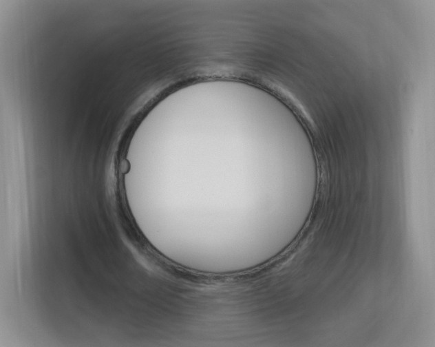 X0000113900674200909241203