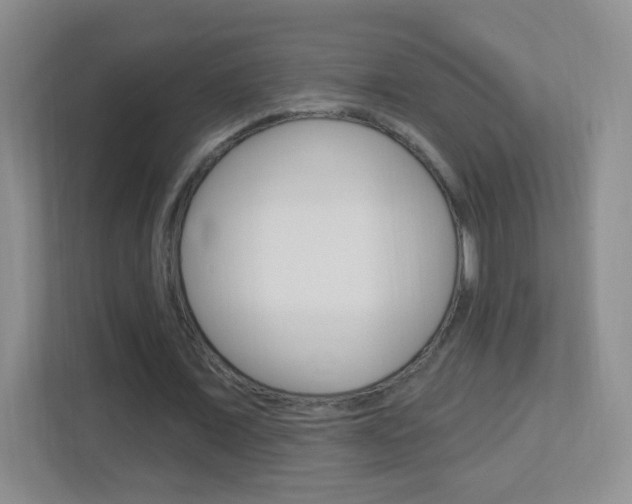X0000113900675200909241203
