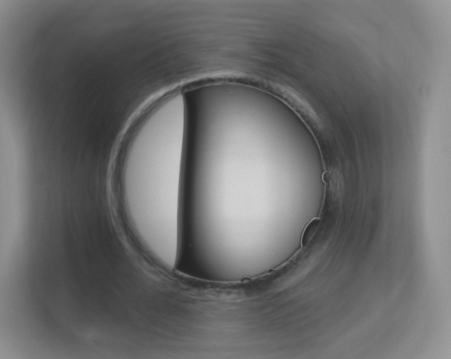 X0000113900676200909241203