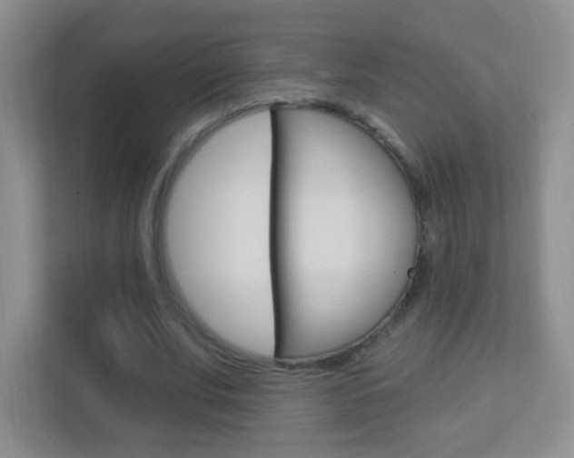 X0000113900679200909241203